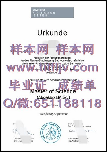 德国杜伊斯堡大学文凭：开启职业新篇章