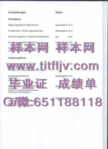 从德国杜伊斯堡艾森综合大学毕业证到职场成功的路上