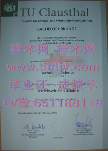 德国克劳斯达尔大学毕业证：职场精英的敲门砖