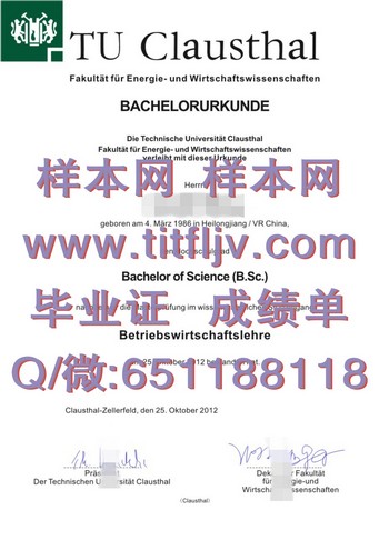 德国克劳斯塔尔工业大学毕业证：通往成功的关键之一