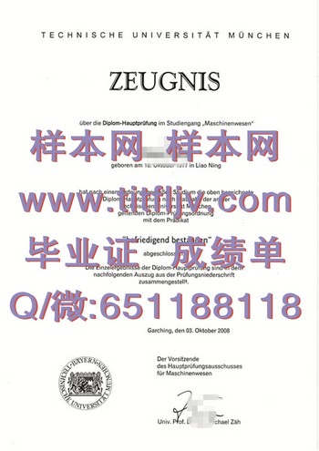 突破职业瓶颈，加持德国慕尼黑工业大学文凭