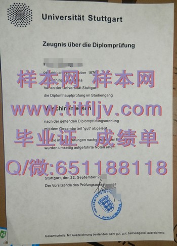掌握先进科技，德国斯图加特大学文凭助力未来