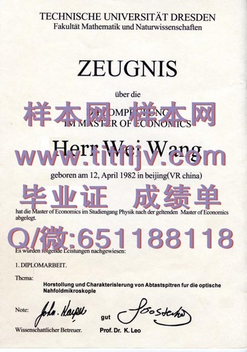 点燃激情，德累斯顿大学文凭助力梦想实现