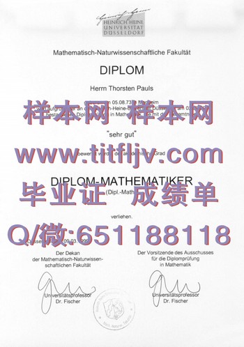 杜塞尔多夫大学毕业证：成为行业翘楚的秘诀揭秘
