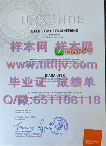 多特蒙德应用技术大学毕业证：揭开成功人士背后的秘密