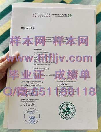 开启成功之路！获得德国富尔达大学文凭，打造职业巅峰