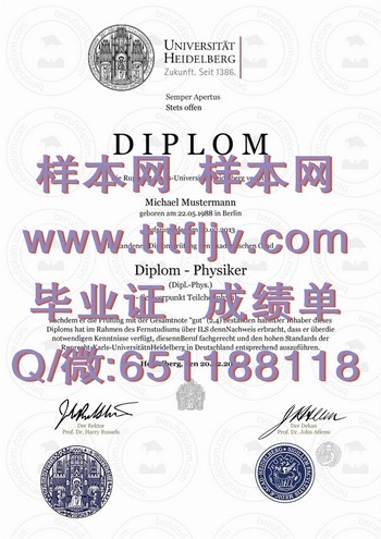 突破职业瓶颈！成功之钥在德国海德堡大学文凭