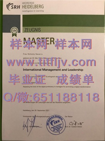 实现梦想之旅！海德堡应用技术大学文凭照亮前行道路