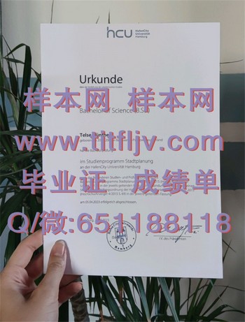 毕业证丢失了怎么办？汉堡港口城市大学的专属指南