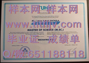 打造职场新高度：汉堡—哈尔堡工业大学毕业证解析