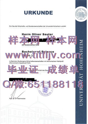 霍恩海姆大学毕业证：打开职业新世界的钥匙