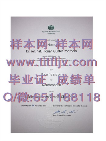 开姆尼茨工业大学毕业证：开启成功之门