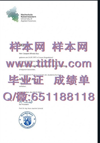 毕业证解读：凯撒斯劳滕应用技术大学的职场价值