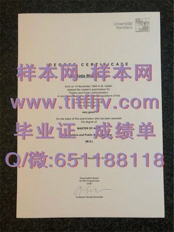 康斯坦茨大学文凭：探索德国高等教育的精华