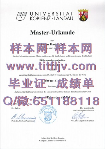 科布伦茨—兰道大学文凭之旅：迈向国际化职业生涯