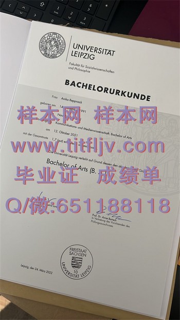 德国莱比锡大学文凭：打造个人职业品牌的钥匙