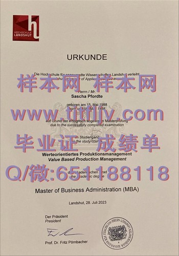 兰茨胡特大学文凭：开启创新思维的窗口