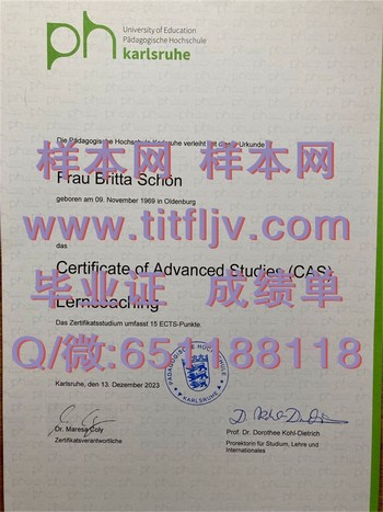 路德维希堡师范学院文凭：跨越国界的教育之旅