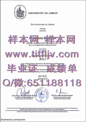 德国吕贝克大学毕业证全攻略：如何顺利获得毕业证书