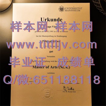拿到德国曼海姆大学毕业证的秘诀揭秘