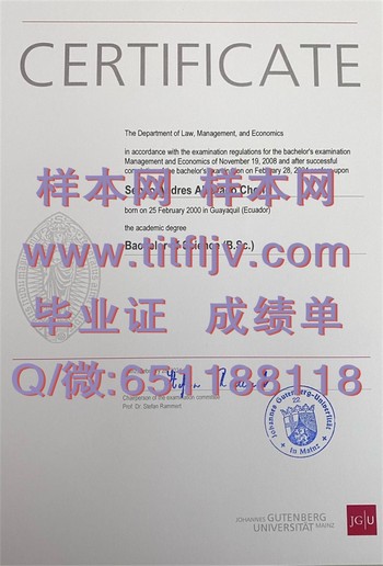 美因茨大学毕业证申请攻略：一步步办理，顺利入手