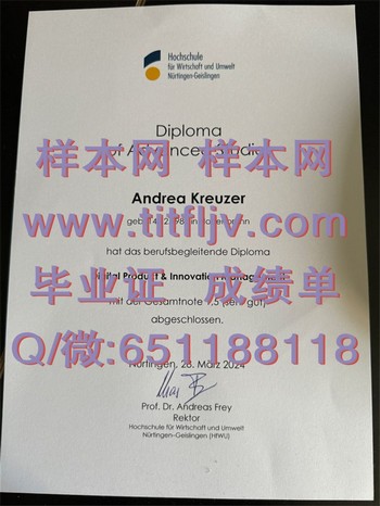 如何选择适合自己的尼尔廷根应用技术大学文凭专业