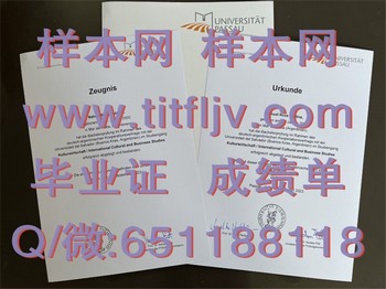 探索德国帕绍大学文凭背后的学习与发展机会
