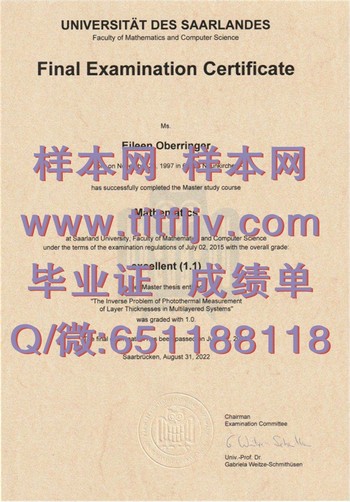 萨尔布吕肯大学文凭：开启职业生涯的新篇章