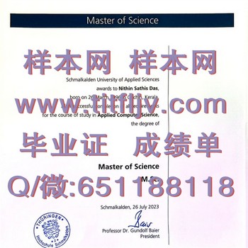 提升就业竞争力：选择施马卡尔登应用技术大学文凭的重要性