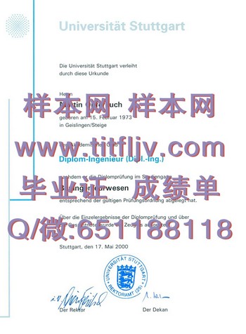 斯图加特大学文凭：实现职业梦想的关键一步