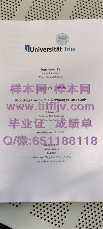 成就未来职场之旅：德国特里尔大学毕业证获取指南