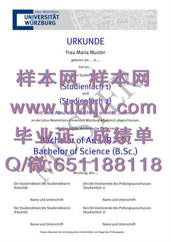维尔茨堡大学毕业证：实现跨国就业的敲门砖