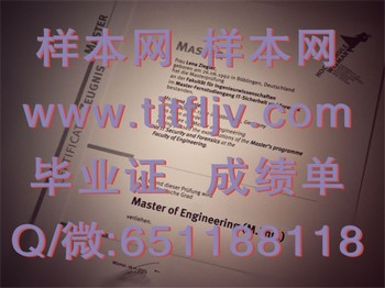 维斯马应用技术大学毕业证：职场成功的黄金凭证