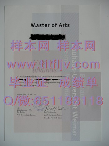计划职业未来：德国魏玛大学毕业证的价值与机遇