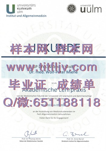 德国乌尔姆大学毕业证：通往成功的捷径