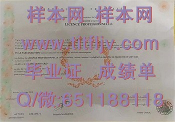 阿尔图瓦大学毕业证丢失怎么补办？