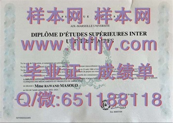 如何在艾克斯-马赛大学获得毕业证？详细解析