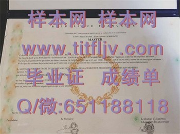 巴黎大学索邦大学文凭：打造国际视野