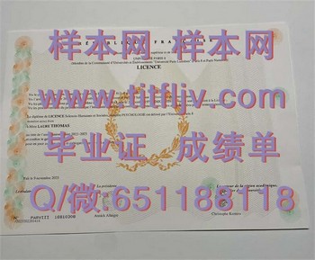 巴黎第八大学文凭：成就卓越人生