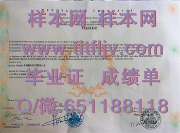 巴黎第十三大学文凭：打造专业领域翘楚