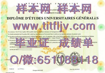 如何顺利获得巴黎第四大学文凭？