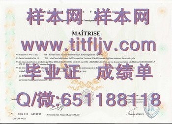从法国图卢兹第三大学毕业的你，未来会有哪些惊喜？