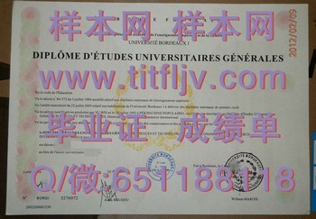 法国波尔多第一大学毕业证：打开人生新篇章的魔法钥匙