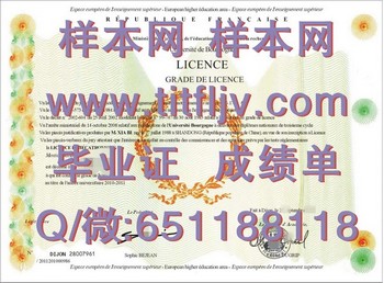 探秘法国第戎大学毕业证的背后故事