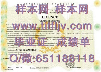 法国蒙比利埃三大毕业证攻略：实现你的目标