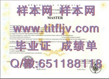 法国南特大学毕业证的未来趋势与前景展望