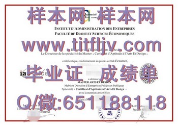 法国尼斯大学毕业证：为你的求职之路加分