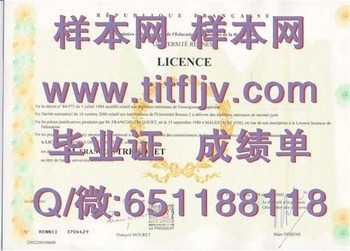 雷恩第二大学毕业证：引领商界的通行证
