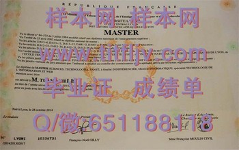探索法国里昂第一大学文凭的魅力，开启你的职业之旅