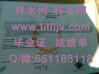 蒙波利埃第一大学：开启你学术之路的新航程